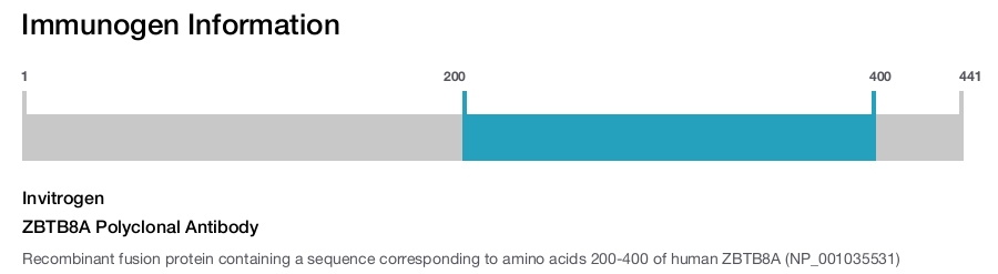 ZBTB8A Polyclonal Antibody