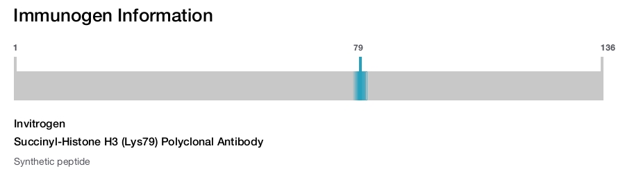 Succinyl-Histone H3 (Lys79) Polyclonal Antibody
