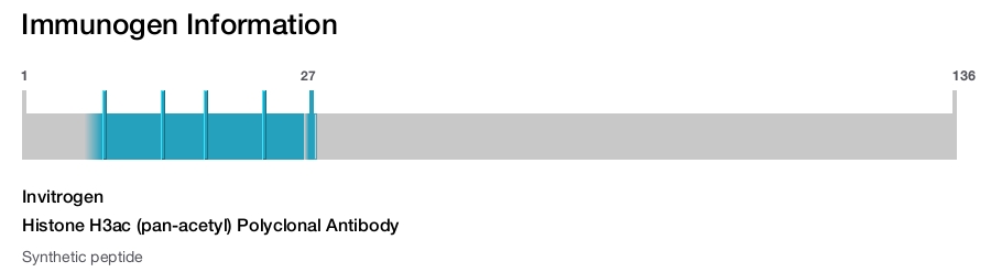 Histone H3ac (pan-acetyl) Polyclonal Antibody