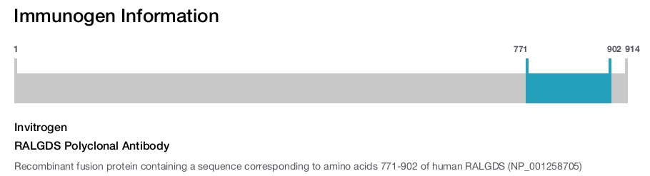 RALGDS Polyclonal Antibody
