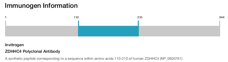 ZDHHC4 Polyclonal Antibody