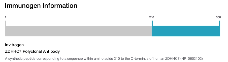 ZDHHC7 Polyclonal Antibody