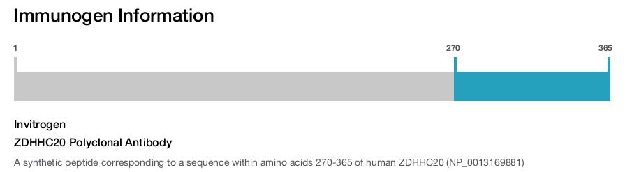 ZDHHC20 Polyclonal Antibody