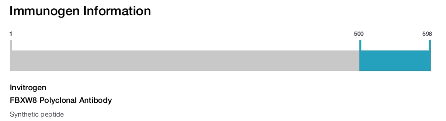 FBXW8 Polyclonal Antibody