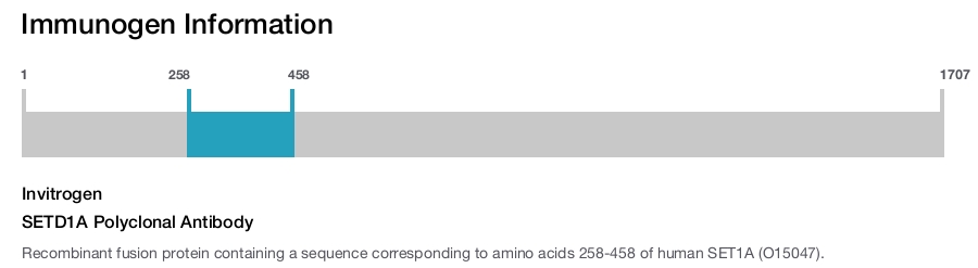 SETD1A Polyclonal Antibody