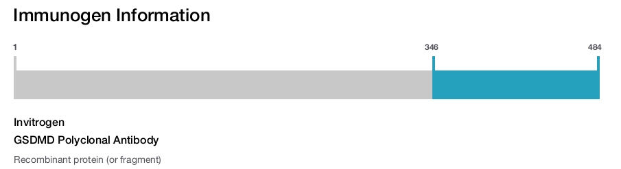 GSDMD Polyclonal Antibody