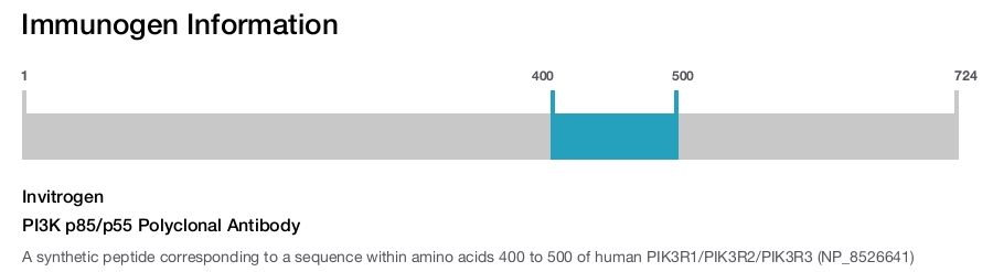PI3K p85/p55 Polyclonal Antibody