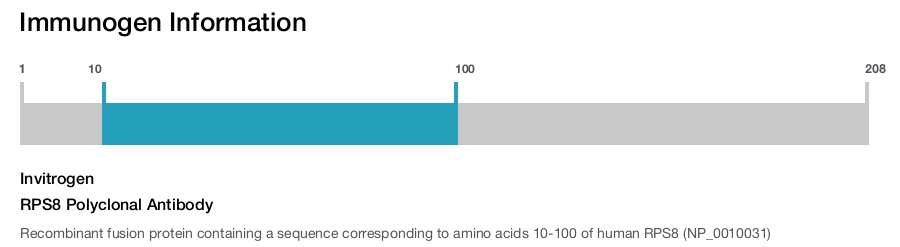 RPS8 Polyclonal Antibody