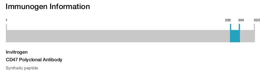 CD47 Polyclonal Antibody