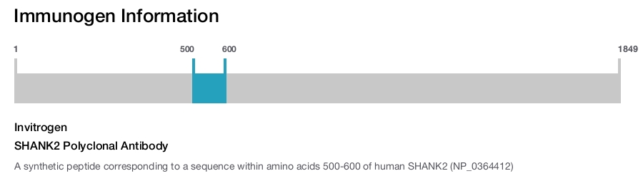 SHANK2 Polyclonal Antibody