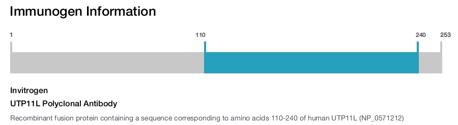 UTP11L Polyclonal Antibody