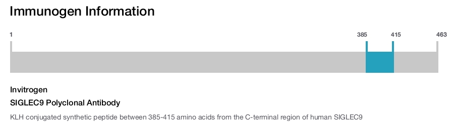 SIGLEC9 Polyclonal Antibody