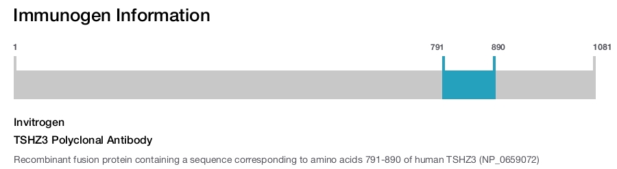 TSHZ3 Polyclonal Antibody