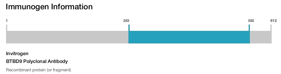 BTBD9 Polyclonal Antibody