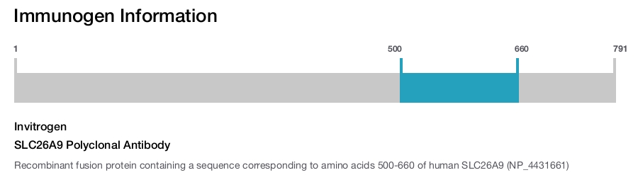 SLC26A9 Polyclonal Antibody
