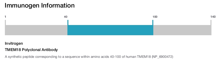 TMEM18 Polyclonal Antibody