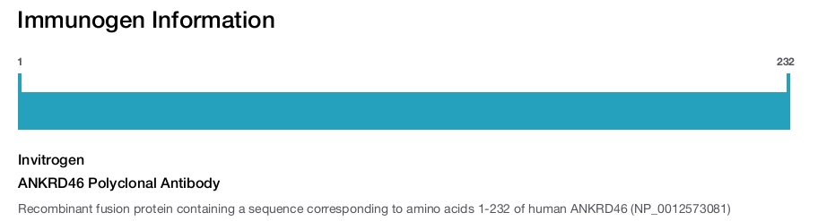 ANKRD46 Polyclonal Antibody