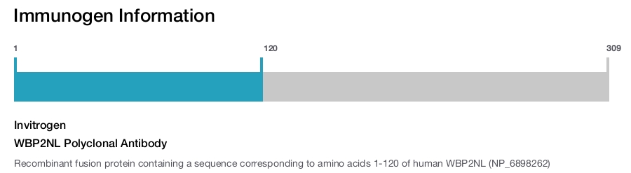 WBP2NL Polyclonal Antibody