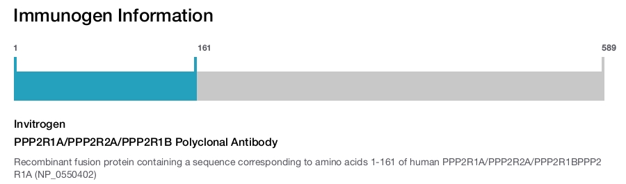 PPP2R1A/PPP2R2A/PPP2R1B Polyclonal Antibody