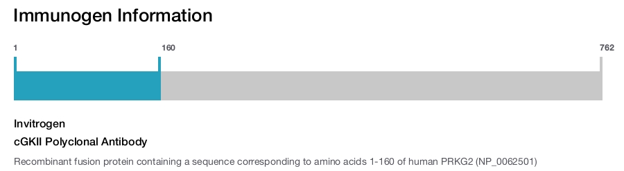 cGKII Polyclonal Antibody