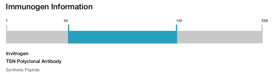 TSN Polyclonal Antibody