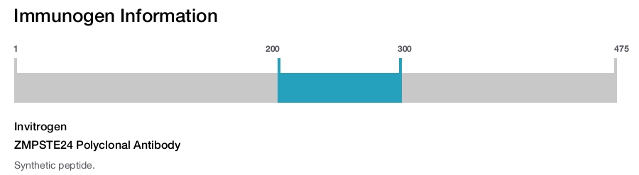 ZMPSTE24 Polyclonal Antibody