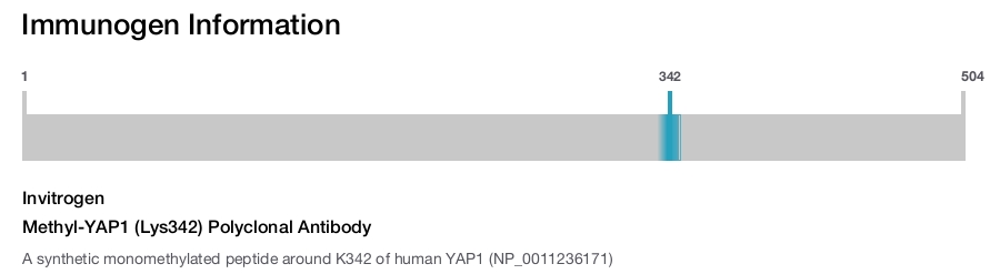 Methyl-YAP1 (Lys342) Polyclonal Antibody