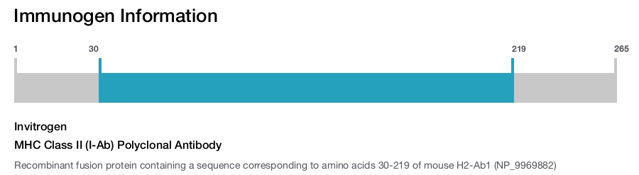 MHC Class II (I-Ab) Polyclonal Antibody