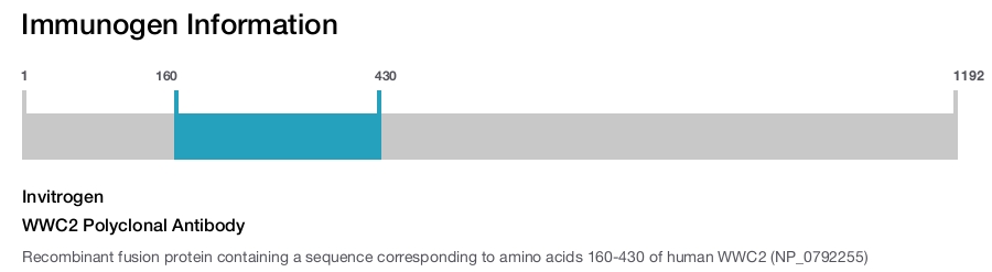 WWC2 Polyclonal Antibody