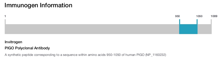 PIGO Polyclonal Antibody