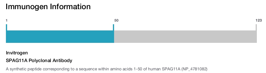 SPAG11A Polyclonal Antibody