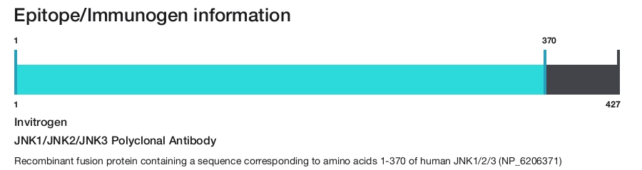 JNK1/JNK2/JNK3 Polyclonal Antibody