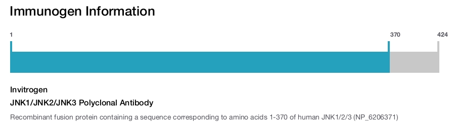JNK1/JNK2/JNK3 Polyclonal Antibody
