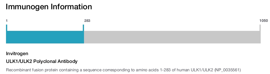 ULK1/ULK2 Polyclonal Antibody