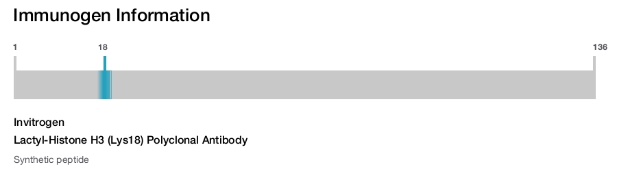 Lactyl-Histone H3 (Lys18) Polyclonal Antibody