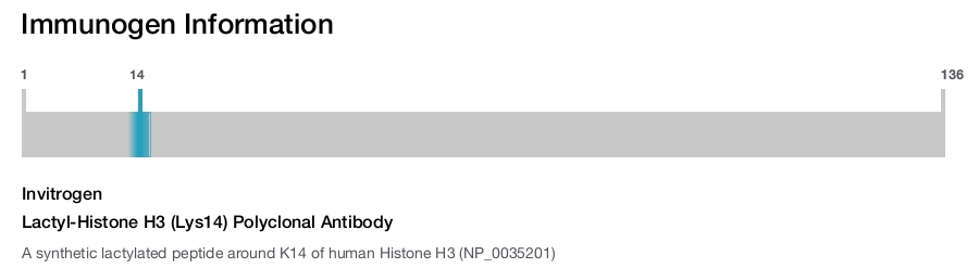 Lactyl-Histone H3 (Lys14) Polyclonal Antibody