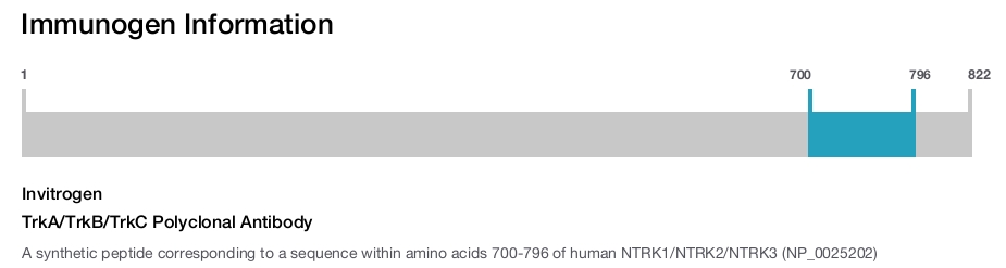 TrkA/TrkB/TrkC Polyclonal Antibody