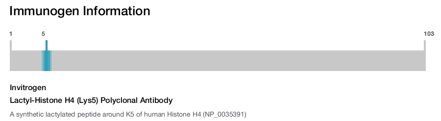 Lactyl-Histone H4 (Lys5) Polyclonal Antibody