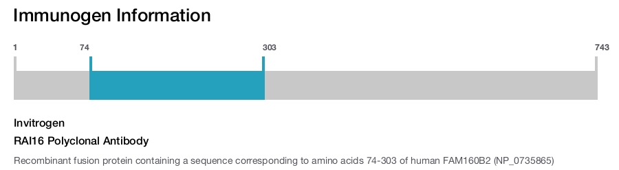 RAI16 Polyclonal Antibody