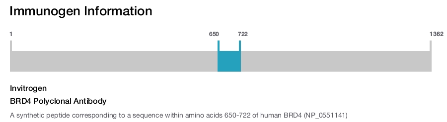 BRD4 Polyclonal Antibody