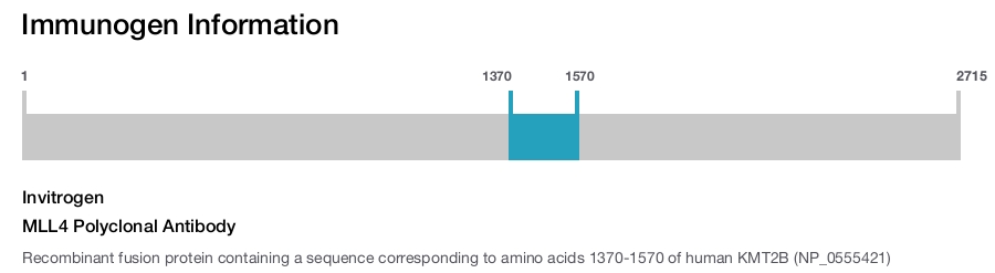MLL4 Polyclonal Antibody
