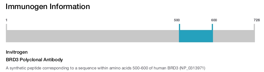 BRD3 Polyclonal Antibody