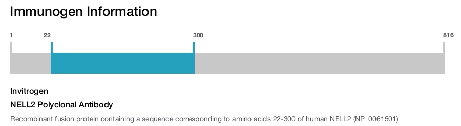 NELL2 Polyclonal Antibody