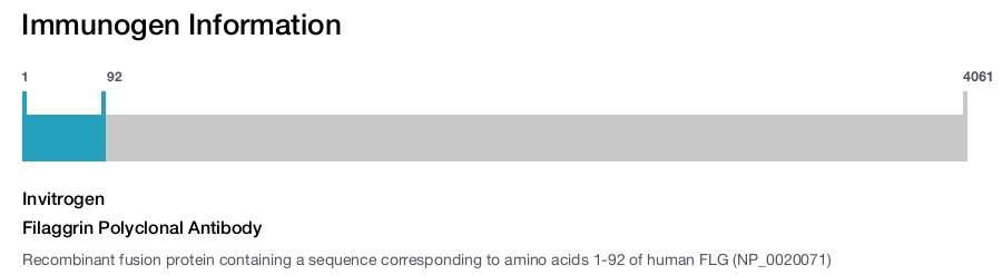 Filaggrin Polyclonal Antibody
