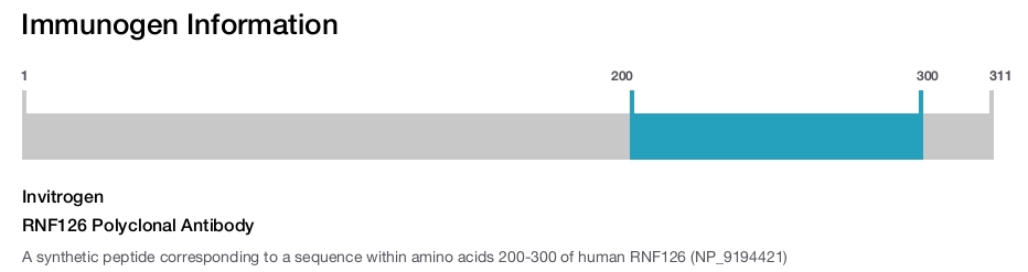 RNF126 Polyclonal Antibody