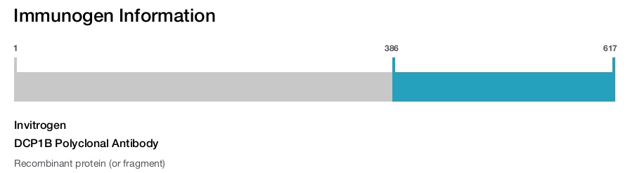 DCP1B Polyclonal Antibody