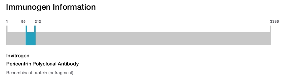 Pericentrin Polyclonal Antibody