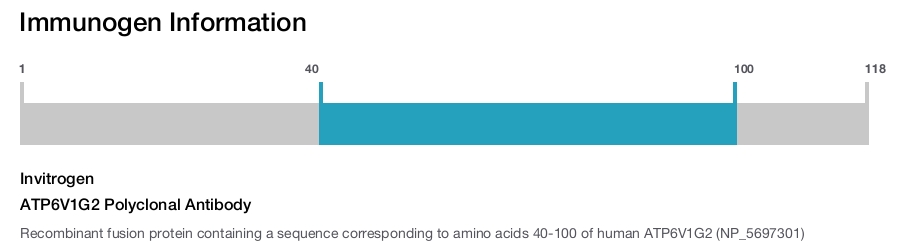 ATP6V1G2 Polyclonal Antibody