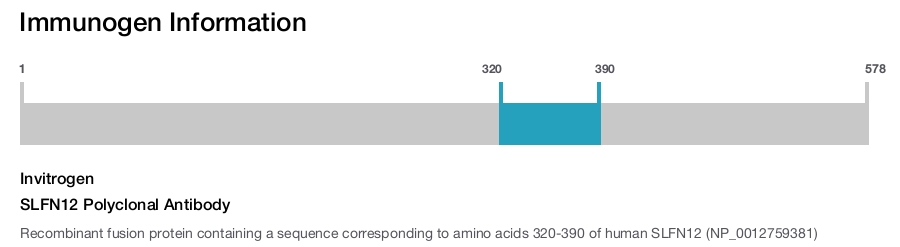 SLFN12 Polyclonal Antibody