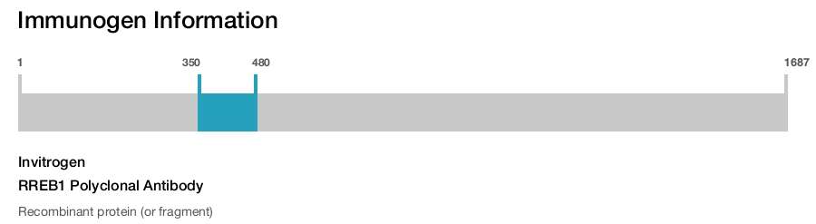 RREB1 Polyclonal Antibody